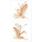 Butterfly Flower by Chris Paschke 14" x 14" Canvas Wall Art (Set of 2)